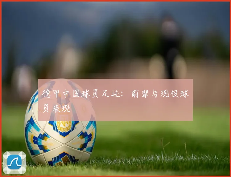 德甲中国球员足迹：前辈与现役球员表现