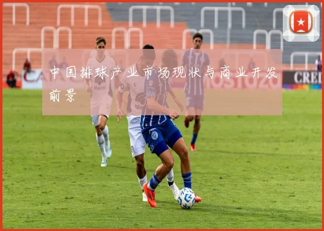 中国排球产业市场现状与商业开发前景