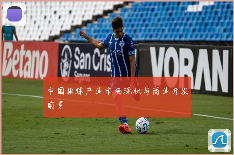 中国排球产业市场现状与商业开发前景